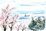 水彩画/音無山の桜